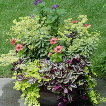 Container Pot Gardens
