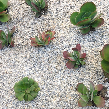 Low-Maintenance Landscape Elements