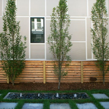 Contemporary Indianapolis Side Yard