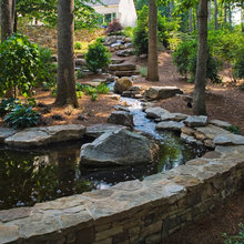 Backyards
