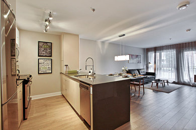 Example of a minimalist kitchen design in Montreal