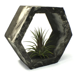 Concrete Air Plant Holder - Products