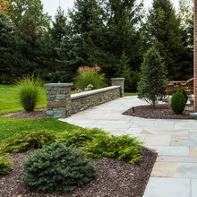 Front Yard Ideas