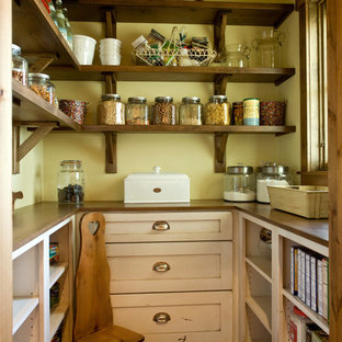 Farmhouse kitchen pantry appliance - Country kitchen pantry photo in Minneapolis with open cabinets