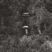 Julien Zabel's photo