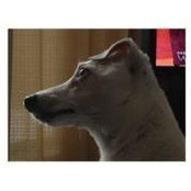 Tami Emerson's photo
