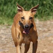 Deborah Taylor's photo