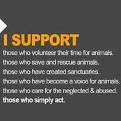 Jennifer Harding's photo