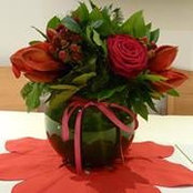 Felicity Banahan's photo