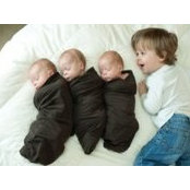Sharon Lippincott's photo