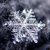 Foto von Colleen Masters