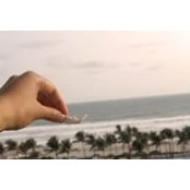 Grace Moca's photo