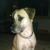 Mindy Freel's photo