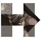 Valerie Steighner's photo