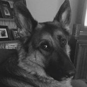 Foto von Lisa Cybulla