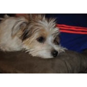 Lori Crutchley's photo