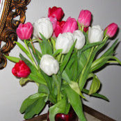Ann Moran's photo