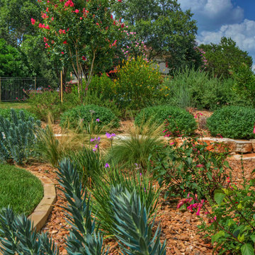 Xeric plantings
