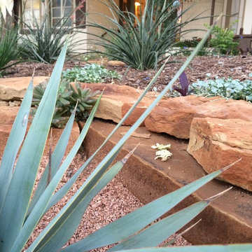 Various Xeriscapes by Team Rhinamic