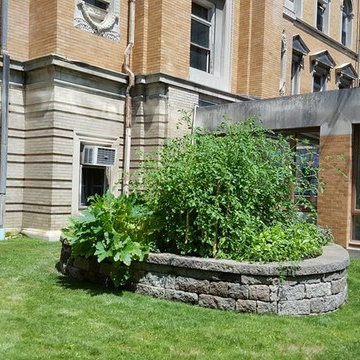Vegetable Garden