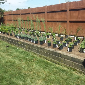 Perennial Garden