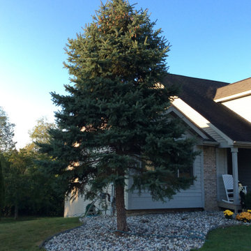 South Lansing Landscape Removal & Planting