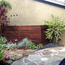 Backyard Play Area