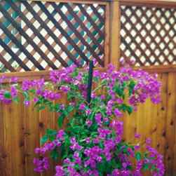 California 5 - Home Fencing And Gates