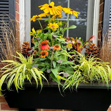 planters