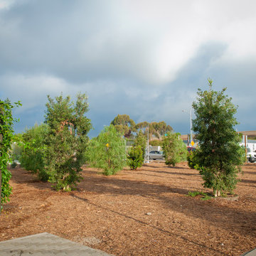 Forested Space