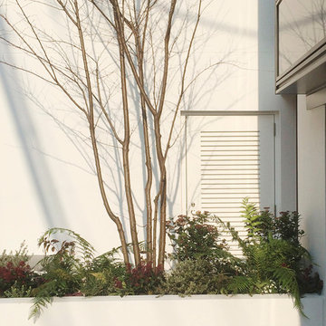 SAKURA SAKURA SAKURA HOUSE