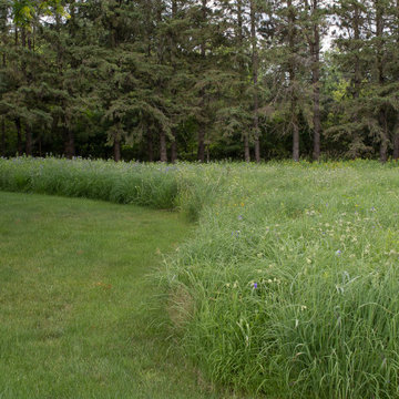 Grant Pastures