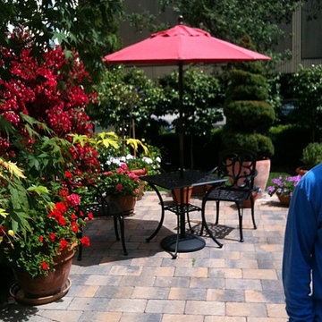 1920 Baywood Beauty: Staged with Feng Shui to Sell!