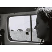 Sasha Gourevitch's photo