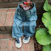 Joan Williams's photo