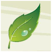Get-eco - Sustainable Landscape Designs's photo
