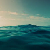 Foto von Stephen Dodd