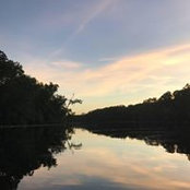 Kim Smith's photo