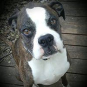 Jennifer Bretthorst's photo