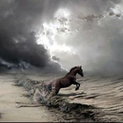 Selin Art's photo