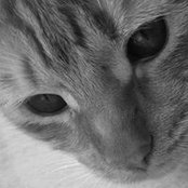 Yirlin Drc's photo