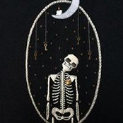 Amy Peluso's photo
