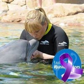 Sarah McClory's photo