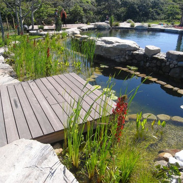 BioNova® Natural Swimming Pool - Nantucket, MA