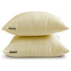 Cream Art Silk 20"x30" Lumbar Pillow Cover Set of 2 Plain & Solid - Cream Luxury