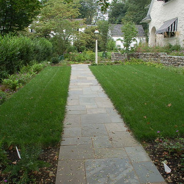 Newly Planted Walkway