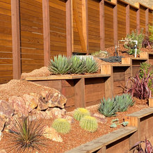 Hillside Landscaping