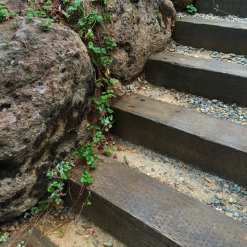 Steps & Pathways