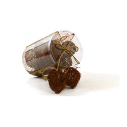 Shea's Wildflower - Rust Wire Eggs With Jute Hanger, Set of 12 Per Tube - Wreaths And Garlands