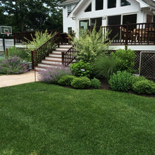 Backyard Update